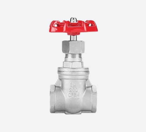 Stainless Steel Gate Valve, RF Flange
